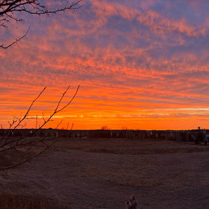 Meet your Posher, Lucy